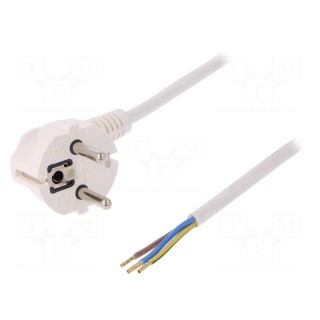 Cable | SCHUKO plug,CEE 7/7 (E/F) plug angled,wires | 10m | white