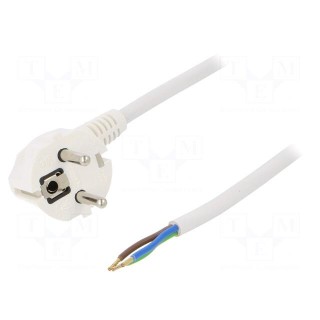 Cable | SCHUKO plug,CEE 7/7 (E/F) plug angled,wires | 2m | white