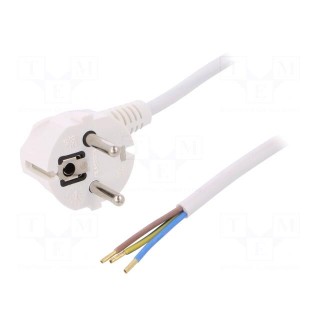 Cable | SCHUKO plug,CEE 7/7 (E/F) plug angled,wires | 2m | white