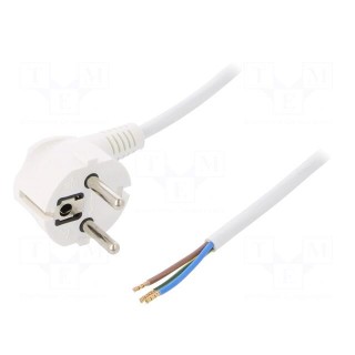 Cable | SCHUKO plug,CEE 7/7 (E/F) plug angled,wires | 3m | white
