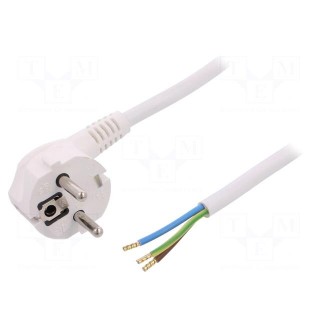Cable | SCHUKO plug,CEE 7/7 (E/F) plug angled,wires | 1.8m | white