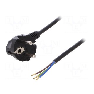 Cable | SCHUKO plug,CEE 7/7 (E/F) plug angled,wires | 10m | black