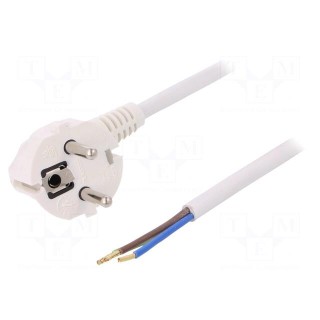 Cable | SCHUKO plug,CEE 7/7 (E/F) plug angled,wires | 10m | white