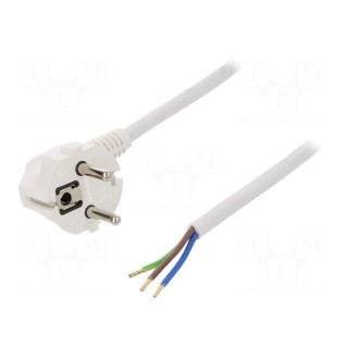 Cable | SCHUKO plug,CEE 7/7 (E/F) plug angled,wires | 3m | white