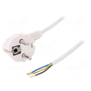 Cable | SCHUKO plug,CEE 7/7 (E/F) plug angled,wires | 3m | white