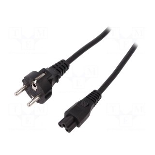 Cable | CEE 7/7 (E/F) plug,IEC C5 female | 1.2m | black | 10A | 250V