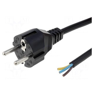 Cable | CEE 7/7 (E/F) plug,wires | 1.8m | black | PVC | 3x0,75mm2 | 10A