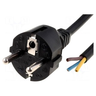 Cable | CEE 7/7 (E/F) plug,wires | 3m | black | PVC | 3x1mm2 | 10A | 250V