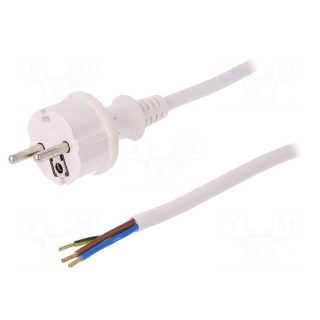 Cable | SCHUKO plug,CEE 7/7 (E/F) plug,wires | 1.5m | white | PVC