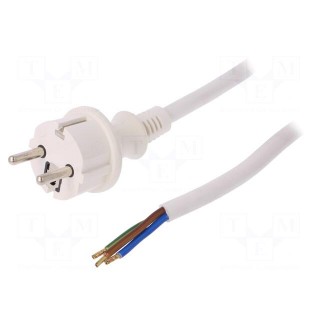 Cable | SCHUKO plug,CEE 7/7 (E/F) plug,wires | 2m | white | PVC | 16A