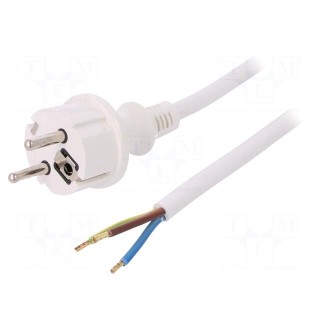 Cable | SCHUKO plug,CEE 7/7 (E/F) plug,wires | 3m | white | PVC | 16A