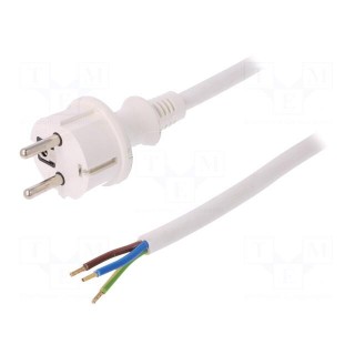 Cable | SCHUKO plug,CEE 7/7 (E/F) plug,wires | 4m | white | PVC | 16A