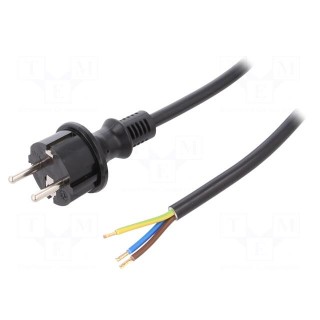 Cable | SCHUKO plug,CEE 7/7 (E/F) plug,wires | 5m | black | PVC | 16A