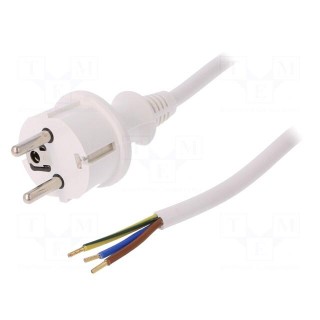 Cable | SCHUKO plug,CEE 7/7 (E/F) plug,wires | 5m | white | PVC | 16A