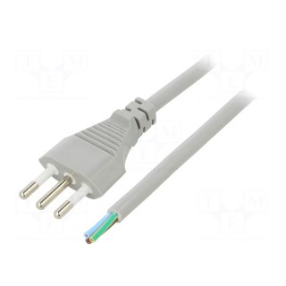 Cable | 3x1mm2 | CEI 23-50 (L) plug,wires | PVC | 3m | grey | 10A | 250V