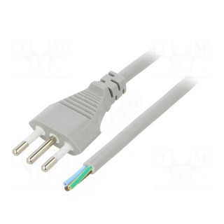 Cable | 3x1mm2 | CEI 23-50 (L) plug,wires | PVC | 1m | grey | 10A | 250V