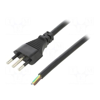 Cable | 3x1mm2 | CEI 23-50 (L) plug,wires | PVC | 5m | black | 10A | 250V