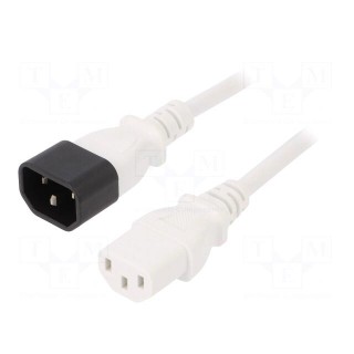 Cable | 3x0.75mm2 | IEC C13 female,IEC C14 male | PVC | 0.5m | white