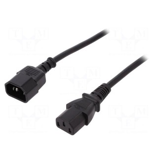 Cable | IEC C13 female,IEC C14 male | 1.2m | black | 10A | 250V