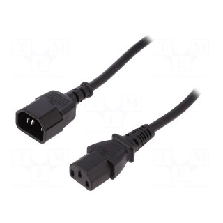Cable | IEC C13 female,IEC C14 male | 5m | black | 10A | 250V