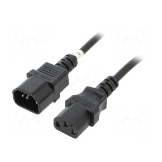Cable | IEC C13 female,IEC C14 male | PVC | 0.5m | black | 10A | 250V