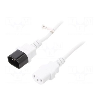Cable | IEC C13 female,IEC C14 male | PVC | 0.5m | white | 10A | 250V