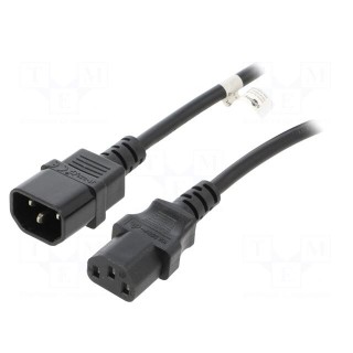 Cable | IEC C13 female,IEC C14 male | PVC | 1.5m | black | 10A | 250V