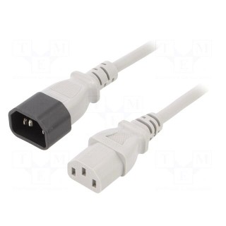 Cable | 3x0.75mm2 | IEC C13 female,IEC C14 male | PVC | 1.8m | grey