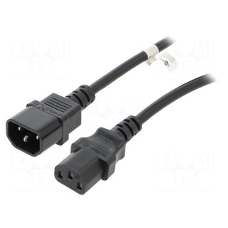 Cable | IEC C13 female,IEC C14 male | PVC | 1m | black | 10A | 250V