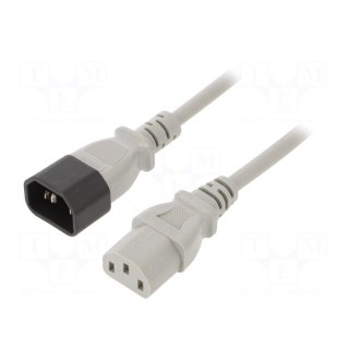 Cable | 3x0.75mm2 | IEC C13 female,IEC C14 male | PVC | 1m | grey | 10A