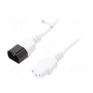 Cable | IEC C13 female,IEC C14 male | PVC | 2m | white | 10A | 250V