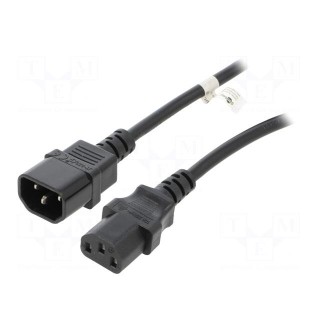 Cable | IEC C13 female,IEC C14 male | PVC | 3m | black | 10A | 250V