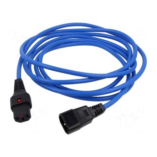 Cable | IEC C13 female,IEC C14 male | PVC | 3m | blue | 10A | 250V