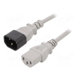 Cable | 3x1mm2 | IEC C13 female,IEC C14 male | PVC | 3m | grey | 10A