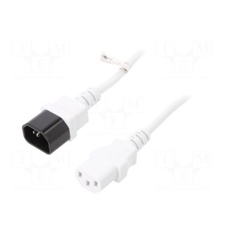 Cable | IEC C13 female,IEC C14 male | PVC | 3m | white | 10A | 250V