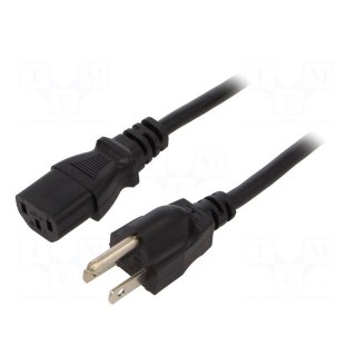 Cable | 3x0.75mm2 | IEC C13 female,JIS 8303 plug | PVC | 2m | black | 7A