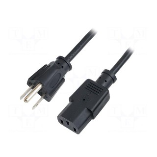 Cable | 3x18AWG | IEC C13 female,NEMA 5-15 (B) plug | 1.8m | black