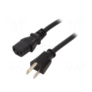 Cable | 3x18AWG | IEC C13 female,NEMA 5-15 (B) plug | PVC | 2.5m