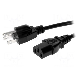 Cable | NEMA 5-15 (B) plug,IEC C13 female | 1.5m | black | PVC | 10A