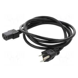 Cable | 3x18AWG | IEC C13 female,NEMA 5-15 (B) plug | PVC | 1.8m