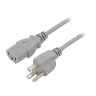 Cable | 3x18AWG | IEC C13 female,NEMA 5-15 (B) plug | PVC | 1.8m