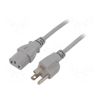 Cable | 3x18AWG | IEC C13 female,NEMA 5-15 (B) plug | PVC | 1m | grey