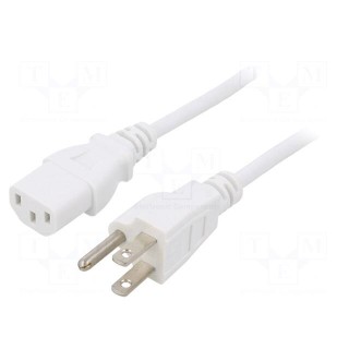 Cable | 3x18AWG | IEC C13 female,NEMA 5-15 (B) plug | PVC | 1m | white