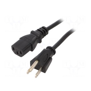 Cable | 3x18AWG | IEC C13 female,NEMA 5-15 (B) plug | PVC | 2m | black