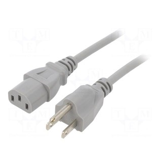 Cable | 3x18AWG | IEC C13 female,NEMA 5-15 (B) plug | PVC | 2m | grey