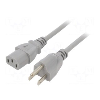 Cable | 3x18AWG | IEC C13 female,NEMA 5-15 (B) plug | PVC | 3m | grey