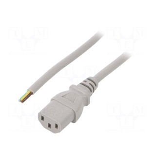 Cable | 3x0.75mm2 | IEC C13 female,wires | PVC | 0.5m | grey | 10A | 250V