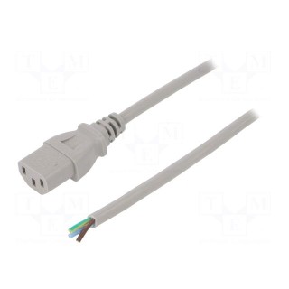 Cable | 3x0.75mm2 | IEC C13 female,wires | PVC | 1.8m | grey | 10A | 250V