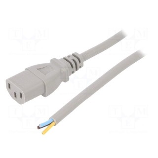 Cable | 3x0.75mm2 | IEC C13 female,wires | PVC | 1m | grey | 10A | 250V