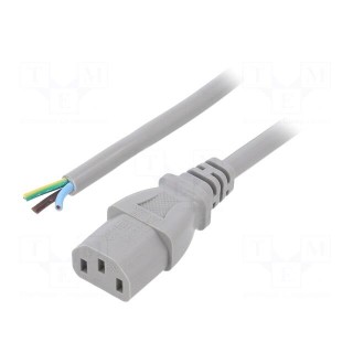 Cable | 3x1mm2 | IEC C13 female,wires | PVC | 3m | grey | 10A | 250V